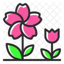 Blume  Symbol