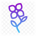 Blume  Symbol