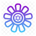 Blume  Symbol