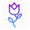 Blume  Symbol