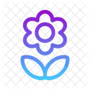 Blume  Symbol