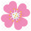 Blume  Symbol