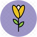 Blume  Symbol