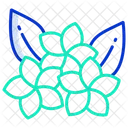 Blume  Symbol