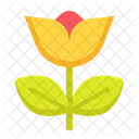 Ungiftig Naturliche Schonheit Blume Icon