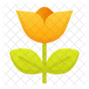 Blume  Symbol