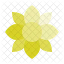 Blume  Symbol