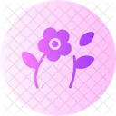 Blume  Symbol