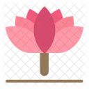 Blume Fruhlingsblume Tulpe Symbol