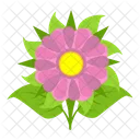 Blume  Icon