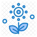 Blume  Symbol