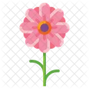 Blume  Symbol