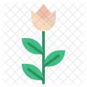 Blume  Symbol