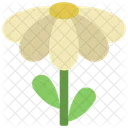 Blume  Symbol