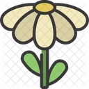 Blume  Symbol