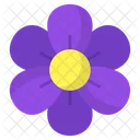 Blume  Symbol