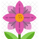 Blume  Symbol