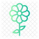 Blume  Symbol