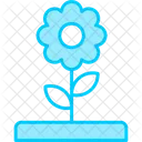 Blume  Symbol