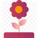 Blume  Symbol