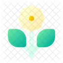 Blume  Symbol