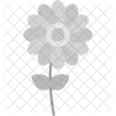 Blume  Symbol