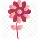 Blume  Symbol