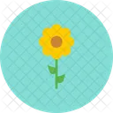 Blumen Ostern Natur Symbol