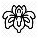 Blume  Symbol