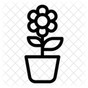 Pflanze Natur Wachstum Symbol
