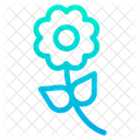 Blume3  Symbol