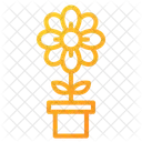 Blumen  Symbol