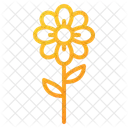 Blumen  Symbol