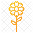 Blumen  Symbol