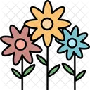 Blumen Blume Sommer Symbol