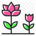 Blumen  Symbol