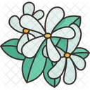 Blumen  Symbol