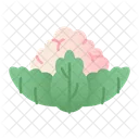 Blumenkohl  Symbol