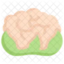 Gemuse Ballaststoffe Lebensmittel Symbol