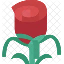 Blumenkunst  Symbol