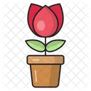 Blume Rose Pflanze Symbol