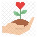 Blütenwachstum  Symbol