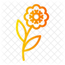 Blüte  Symbol