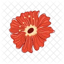 Blüte  Symbol