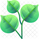 Blüte  Symbol