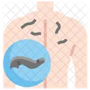 Blutegeltherapie  Symbol