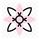 Blutenblatt Blute Fruhling Symbol