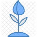 Blutenknospe Blume Knospe Symbol