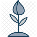 Blutenknospe Blume Knospe Symbol