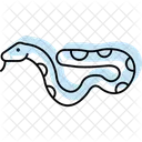 Boa Constrictor Ícone